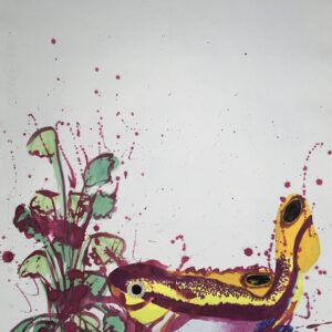 Magenta II